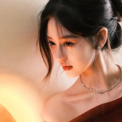 盗贼生涯