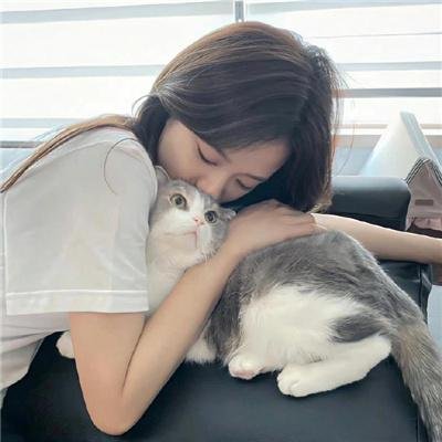 追捕